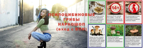 меф Арсеньев