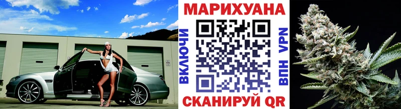 Каннабис сатива  Теберда 